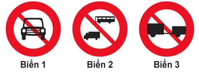 Hình câu 301