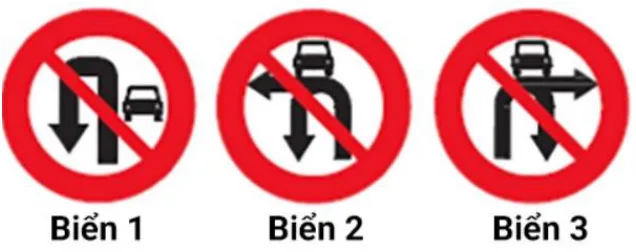 Hình câu 319