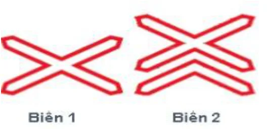 Hình câu 377