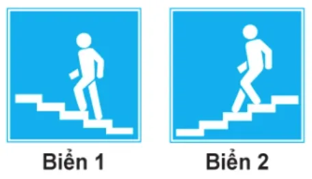 Hình câu 451